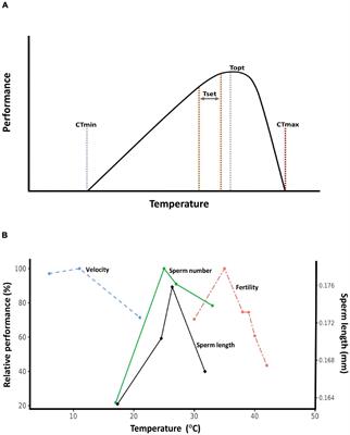 The Physiological and Evolutionary Ecology of Sperm Thermal Performance